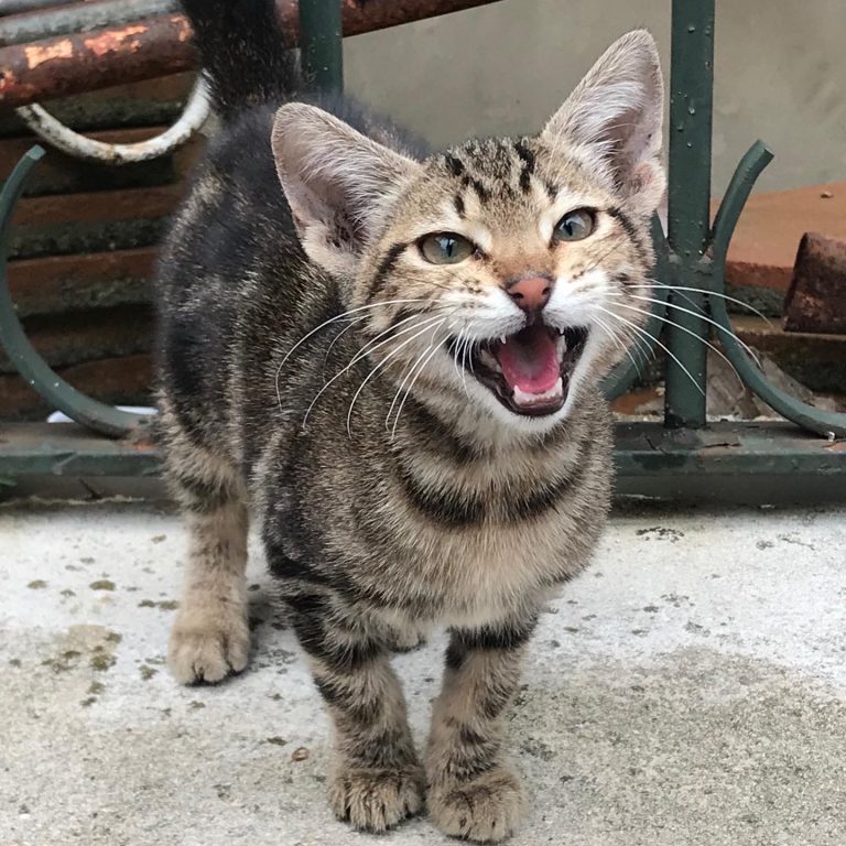 B008D109-3BC7-4CF6-A1D3-18AC95FD5013